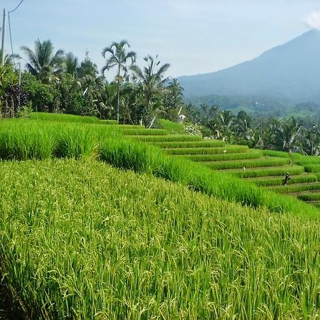 Zen Rooms Badung Nyangnyang Sari Kuta Lombok Εξωτερικό φωτογραφία
